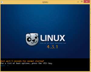 Загрузочная флешка с Puppy Linux 4.3.1
