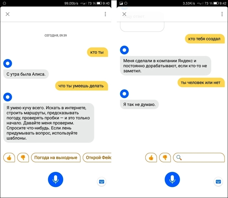 Диалог с Yandex Алиса